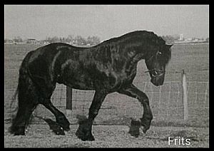 Frits